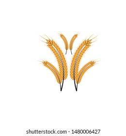 Agriculture wheat Logo Template vector icon design
