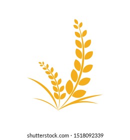 Agriculture wheat Logo Template vector icon design