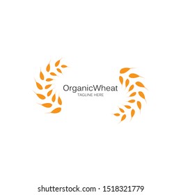 Agriculture wheat Logo Template vector icon design 