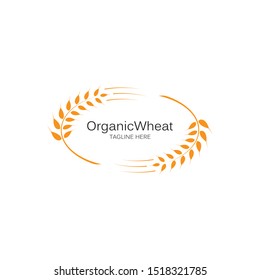 Agriculture wheat Logo Template vector icon design 