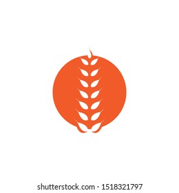 Agriculture wheat Logo Template vector icon design 