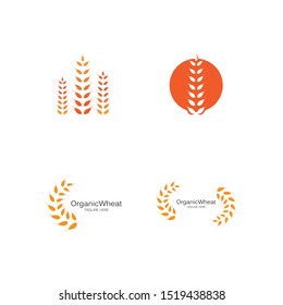 Agriculture wheat Logo Template vector icon design 