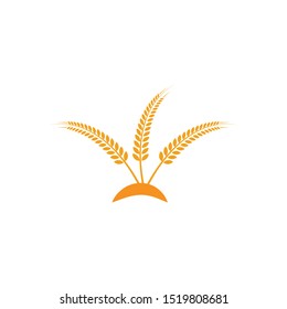 Agriculture wheat Logo Template vector icon design