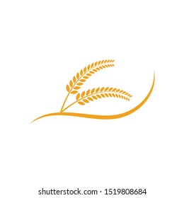 Agriculture wheat Logo Template vector icon design