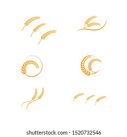 Agriculture wheat Logo Template vector icon design