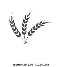 Agriculture wheat Logo Template vector icon design