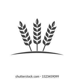 Agriculture wheat Logo Template vector icon design