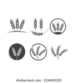 Agriculture wheat Logo Template vector icon design