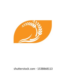 Agriculture wheat Logo Template vector icon design 
