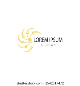 Agriculture wheat Logo Template vector icon design