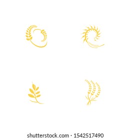 Agriculture wheat Logo Template vector icon design