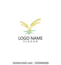 Agriculture wheat Logo Template vector icon design