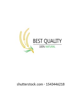 Agriculture wheat Logo Template vector icon design