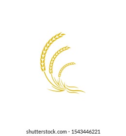 Agriculture wheat Logo Template vector icon design