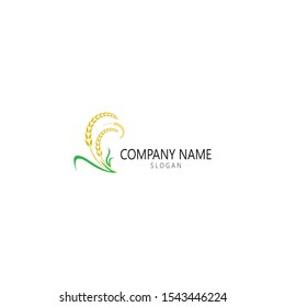 Agriculture wheat Logo Template vector icon design