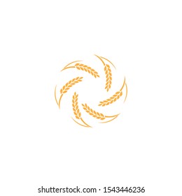 Agriculture wheat Logo Template vector icon design