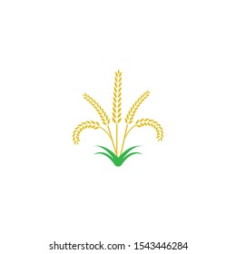 Agriculture wheat Logo Template vector icon design