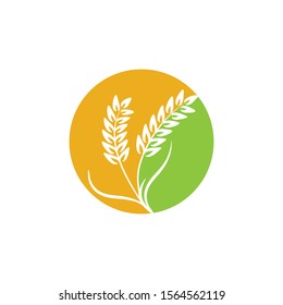 Agriculture Wheat logo template vector icon design