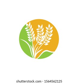Agriculture Wheat logo template vector icon design