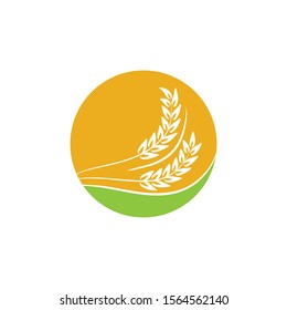 Agriculture Wheat logo template vector icon design