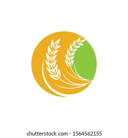Agriculture Wheat logo template vector icon design