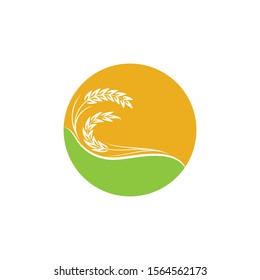 Agriculture Wheat logo template vector icon design