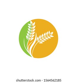 Agriculture Wheat logo template vector icon design