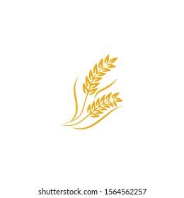 Agriculture Wheat logo template vector icon design