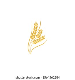 Agriculture Wheat logo template vector icon design