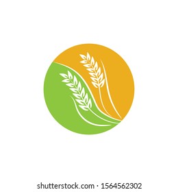Agriculture Wheat logo template vector icon design