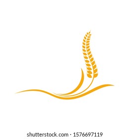 Agriculture Wheat logo template vector, Luxury Wheat Logo Concept, Icon Symbol