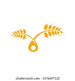 Agriculture Wheat logo template vector, Luxury Wheat Logo Concept, Icon Symbol