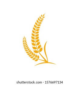 Agriculture Wheat logo template vector, Luxury Wheat Logo Concept, Icon Symbol