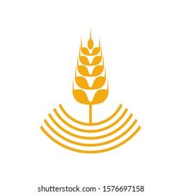 Agriculture Wheat logo template vector, Luxury Wheat Logo Concept, Icon Symbol