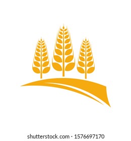 Agriculture Wheat logo template vector, Luxury Wheat Logo Concept, Icon Symbol