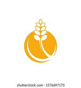 Agriculture Wheat logo template vector, Luxury Wheat Logo Concept, Icon Symbol