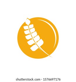 Agriculture Wheat logo template vector, Luxury Wheat Logo Concept, Icon Symbol