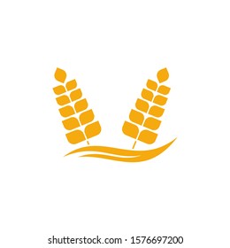 Agriculture Wheat logo template vector, Luxury Wheat Logo Concept, Icon Symbol