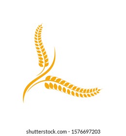 Agriculture Wheat logo template vector, Luxury Wheat Logo Concept, Icon Symbol