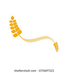 Agriculture Wheat logo template vector, Luxury Wheat Logo Concept, Icon Symbol