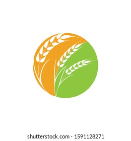 Agriculture Wheat logo template vector icon design