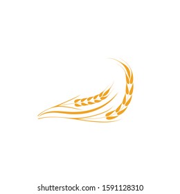 Agriculture Wheat logo template vector icon design