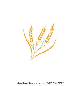 Agriculture Wheat logo template vector icon design