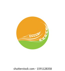 Agriculture Wheat logo template vector icon design