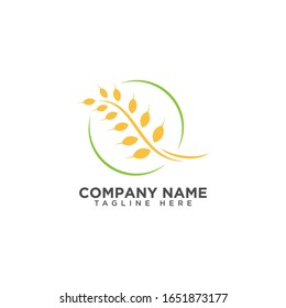 Design der Vektorillustration für Agrarweizen-Logo-Vorlage