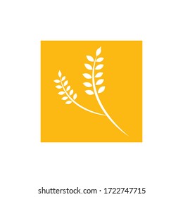Agriculture wheat Logo Template vector icon design illustration