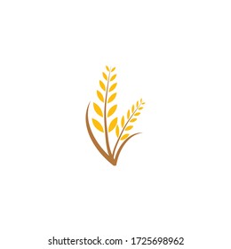 Agriculture wheat Logo Template vector icon design