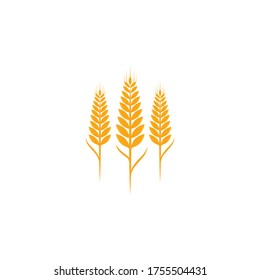 Diseño de iconos de la plantilla de logotipo de trigo agrícola 