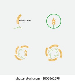 Agriculture wheat Logo Template vector icon design