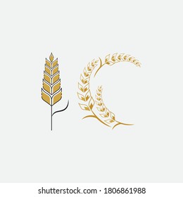 Agriculture wheat Logo Template vector icon design